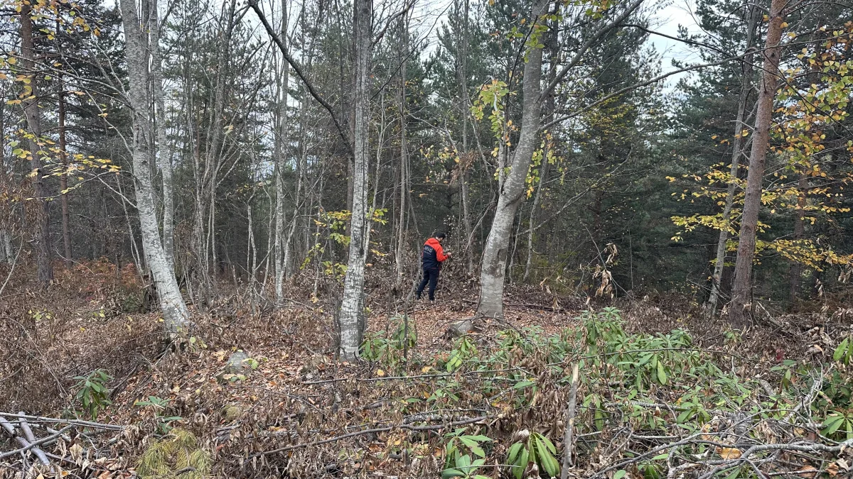 01K9MPJRTRM45P0HAWEZ8C9AHC