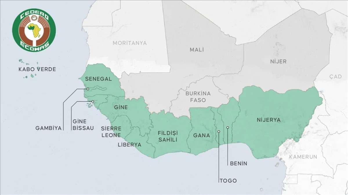 01K9GK2AP2S3DE67GX080CHVXH