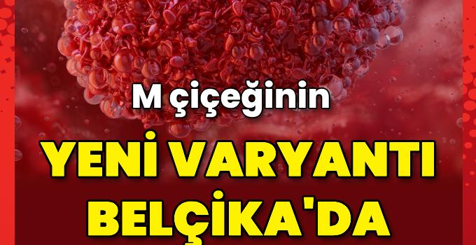 Belçika’da maymun çiçeği virüsünün yeni varyantı ilk kez tespit edildi – Haberler | Sağlık Haberleri