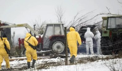 Almanya’da 35 yıl sonra şap vakası görüldü